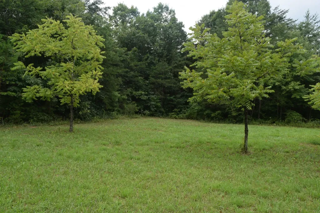 16226 Sr 50 Altamont TN 37301
