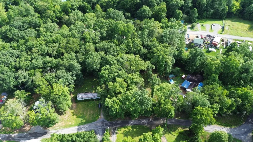 137 Randall Fugate Road Spring City TN 37381