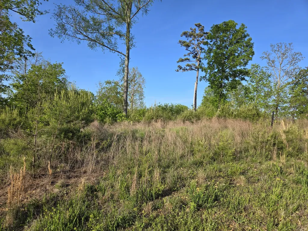 75 Egret Court Waverly TN 37185
