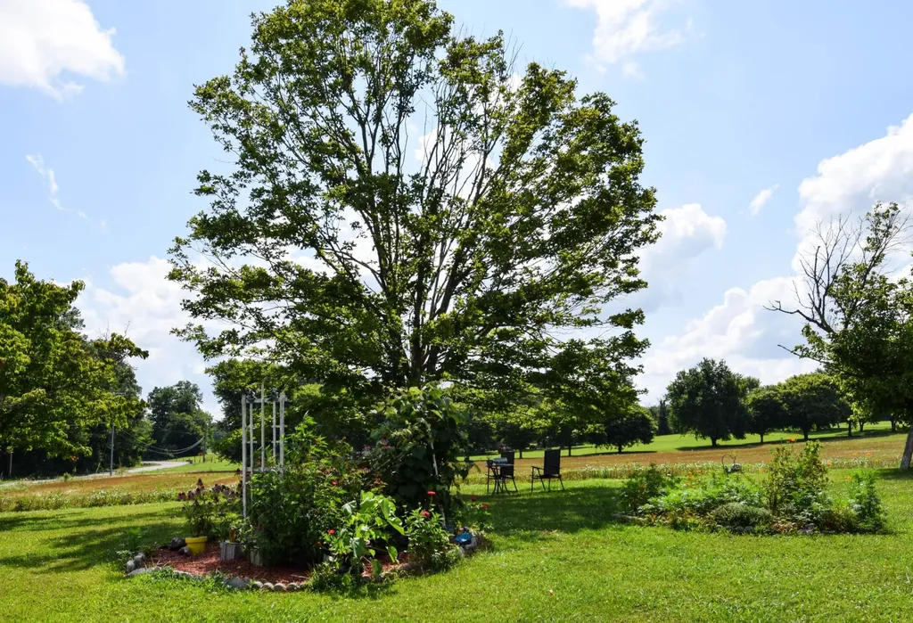 135 Old Hwy 52w Portland TN 37148