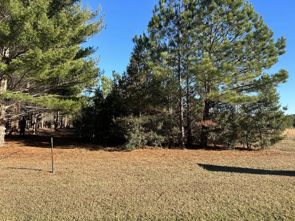 0 Hickerson Road Manchester TN 37355