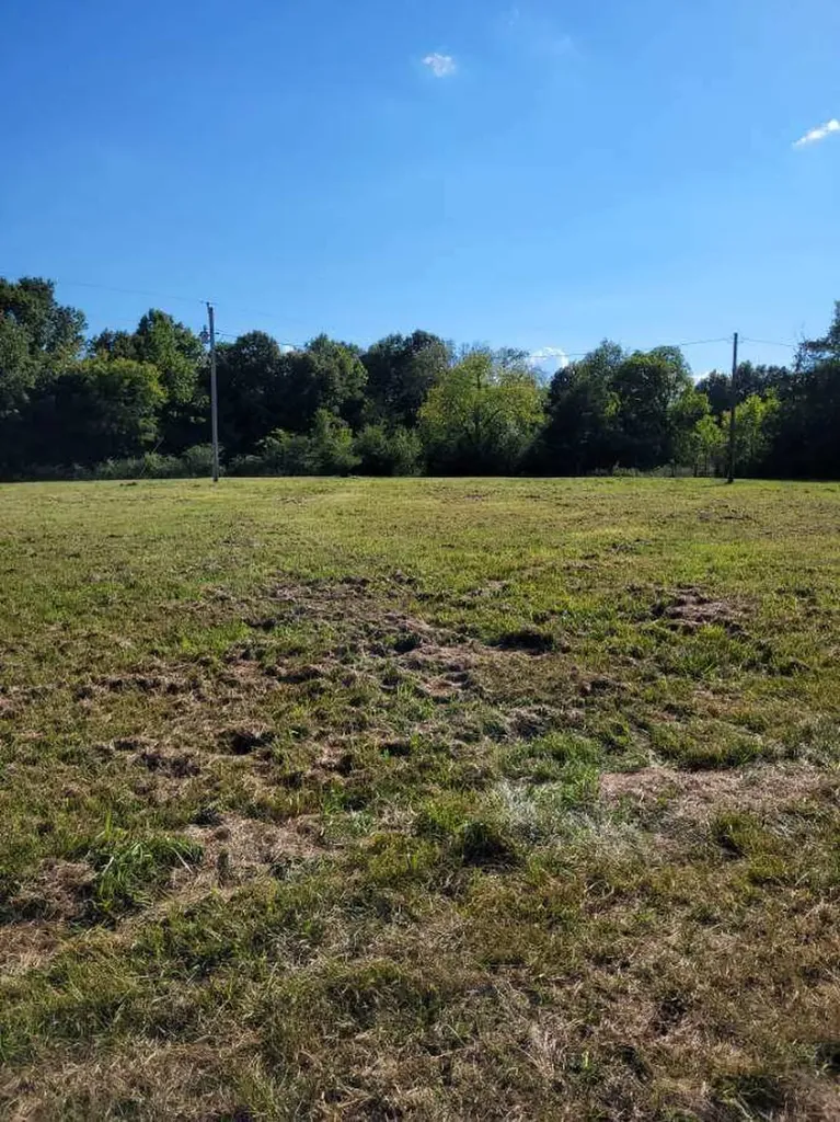 0 Mullins Chapel Road Shelbyville TN 37160