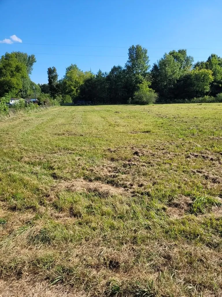 0 Mullins Chapel Road Shelbyville TN 37160