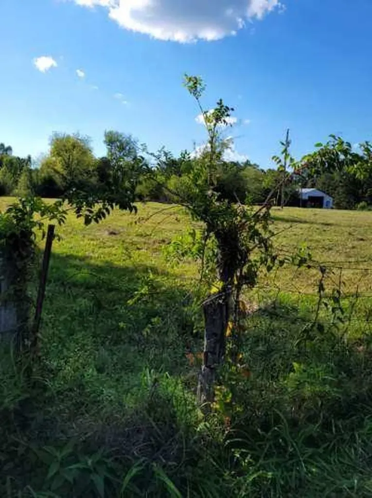 0 Mullins Chapel Road Shelbyville TN 37160
