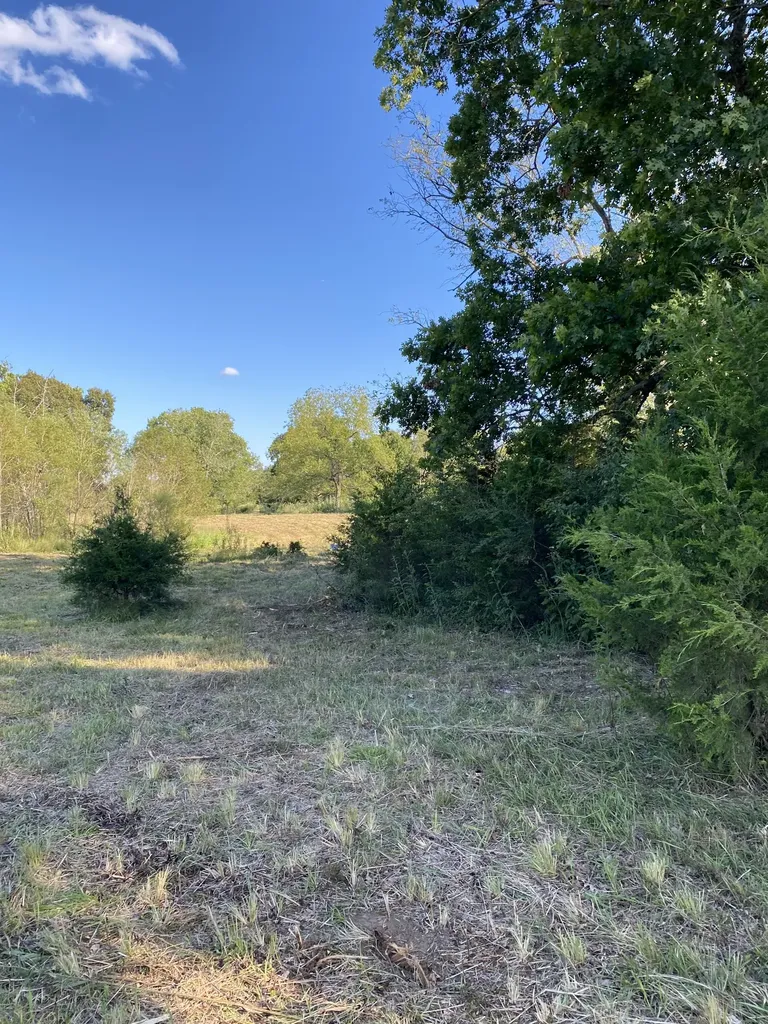 0 Mullins Chapel Road Shelbyville TN 37160