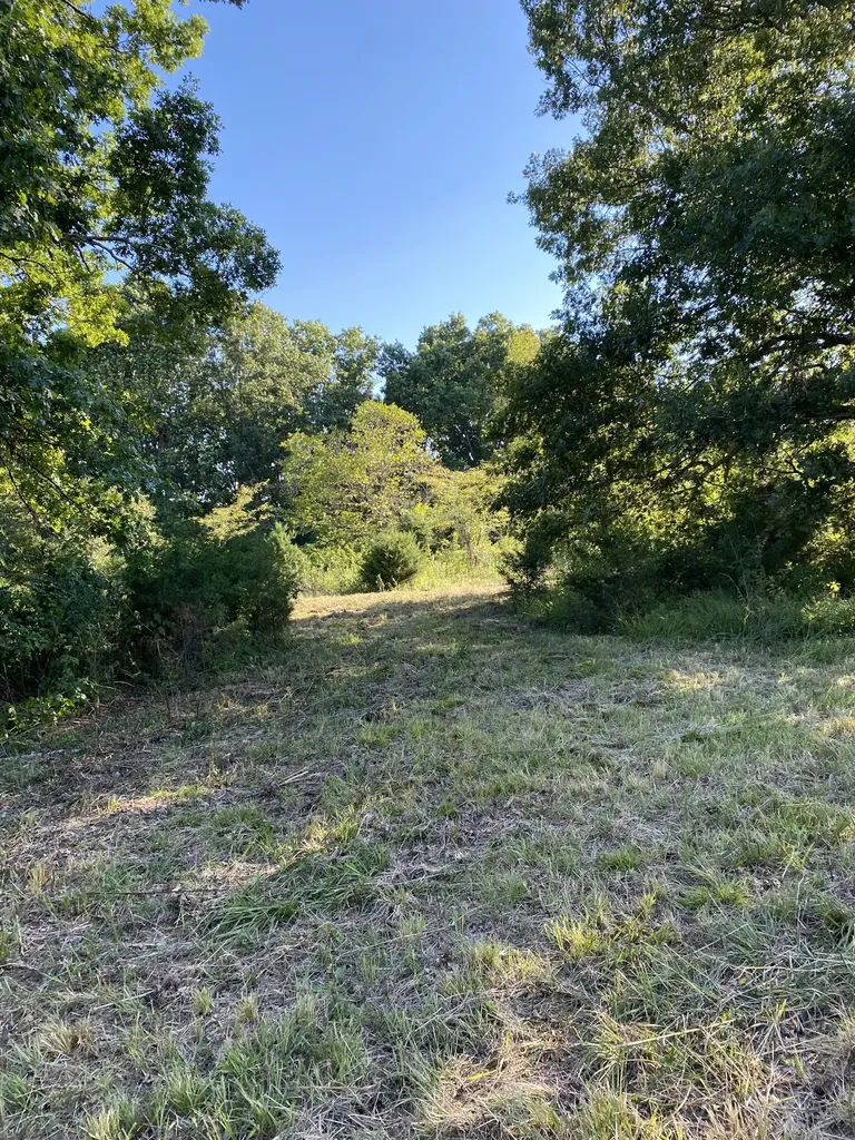0 Mullins Chapel Road Shelbyville TN 37160
