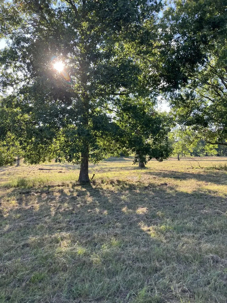 0 Mullins Chapel Road Shelbyville TN 37160