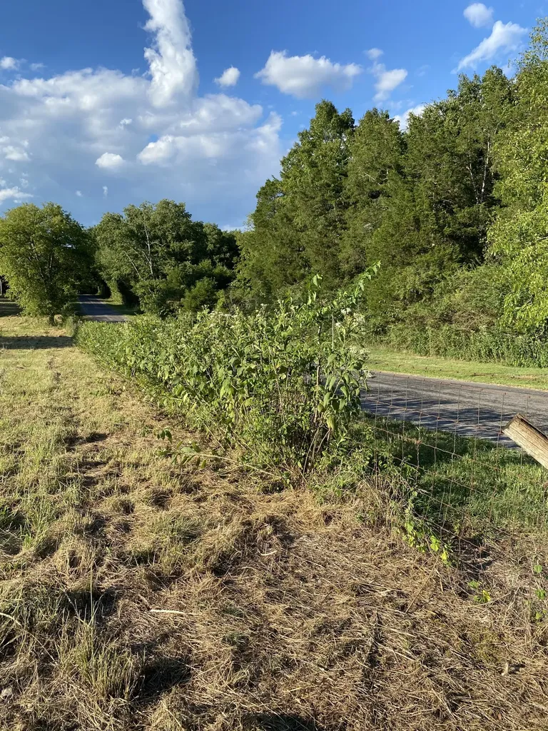 0 Mullins Chapel Road Shelbyville TN 37160