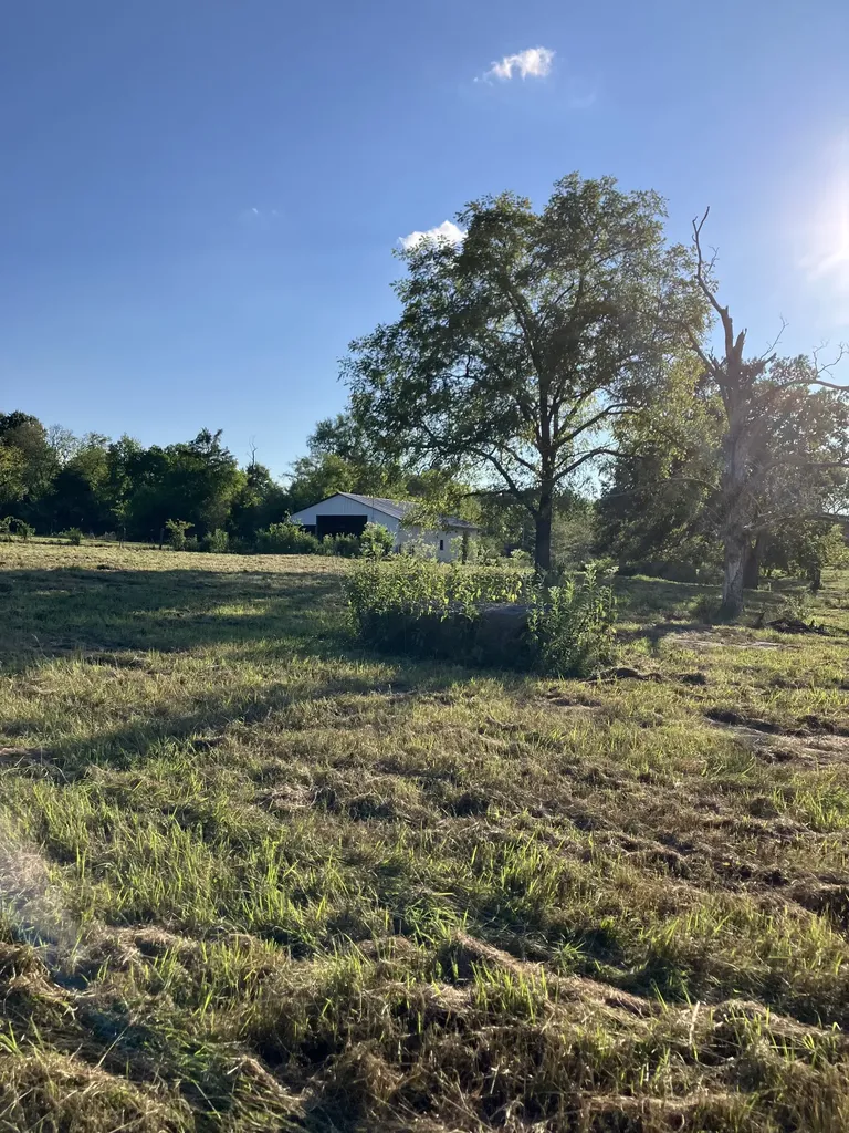 0 Mullins Chapel Road Shelbyville TN 37160