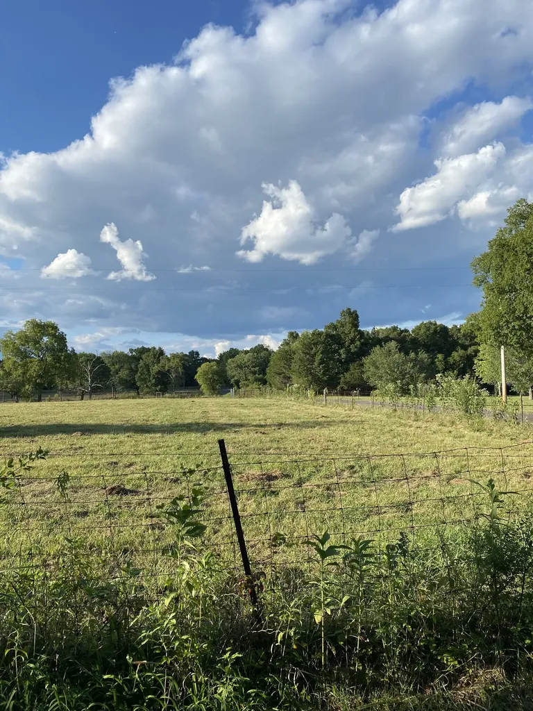 0 Mullins Chapel Road Shelbyville TN 37160