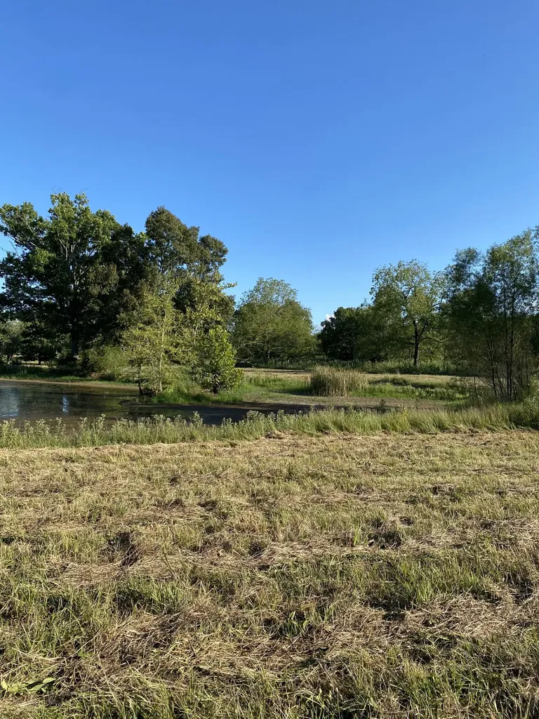 0 Mullins Chapel Road Shelbyville TN 37160