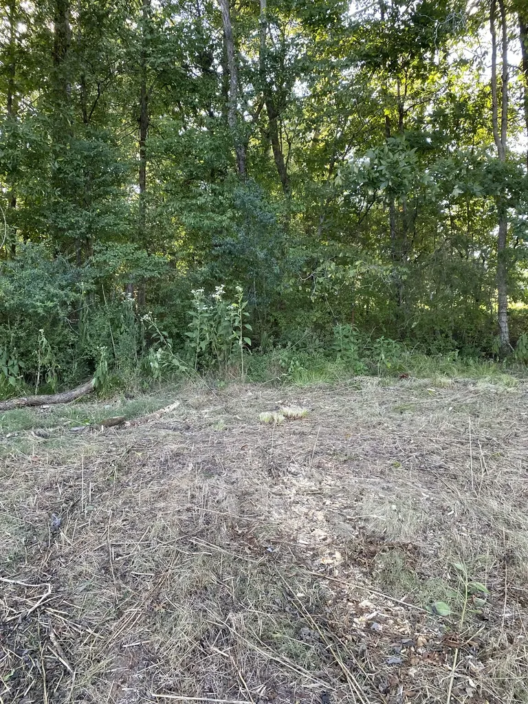 0 Mullins Chapel Road Shelbyville TN 37160