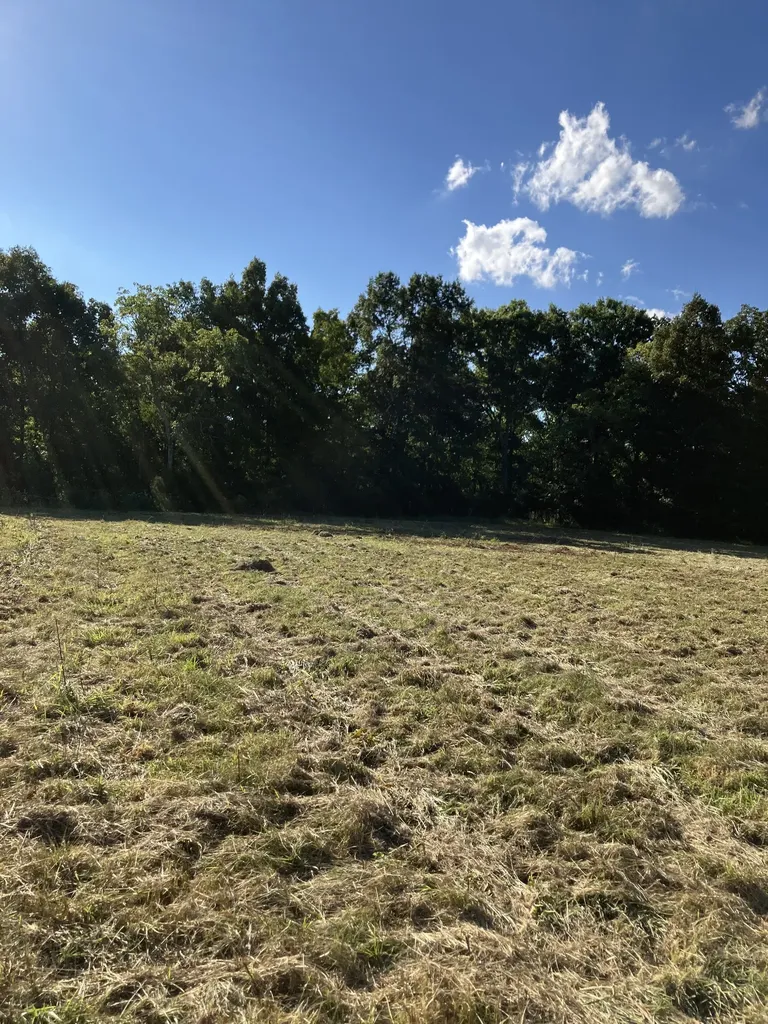 0 Mullins Chapel Road Shelbyville TN 37160