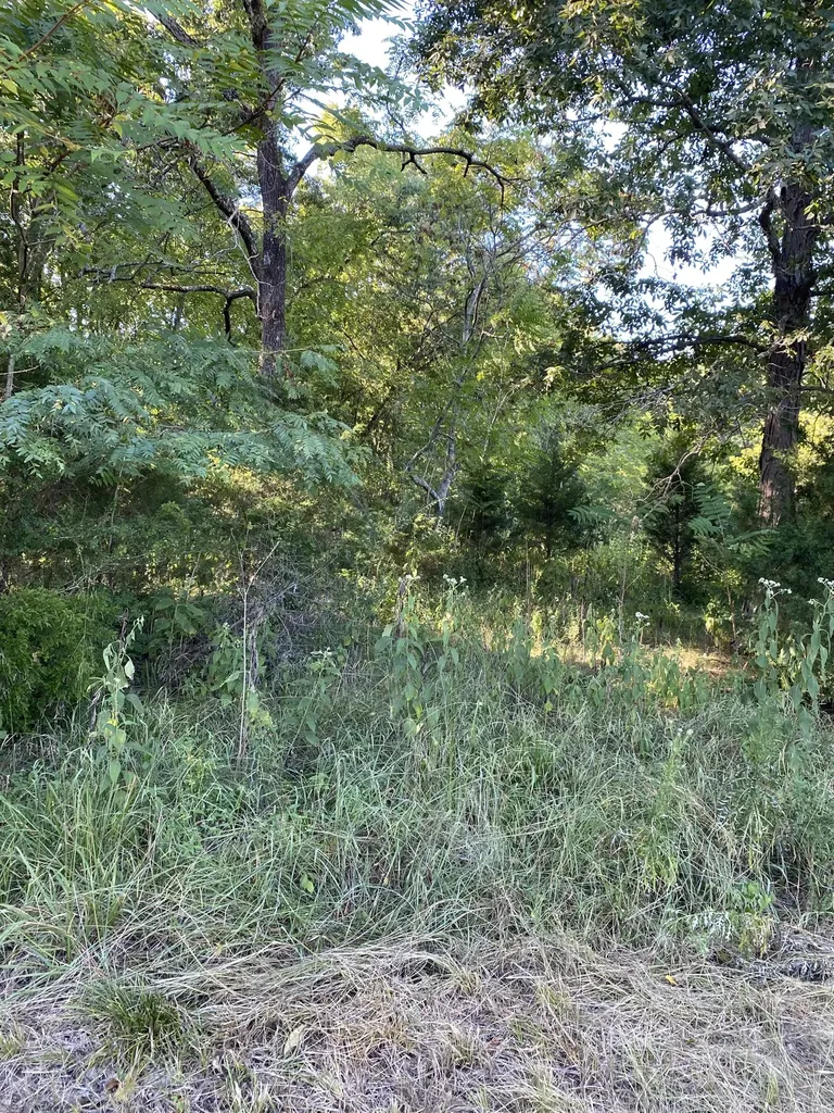 0 Mullins Chapel Road Shelbyville TN 37160