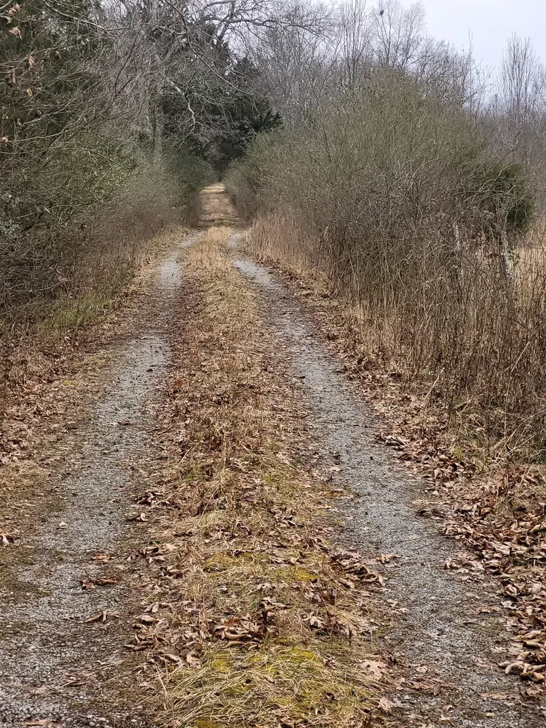 0 Mullins Chapel Road Shelbyville TN 37160