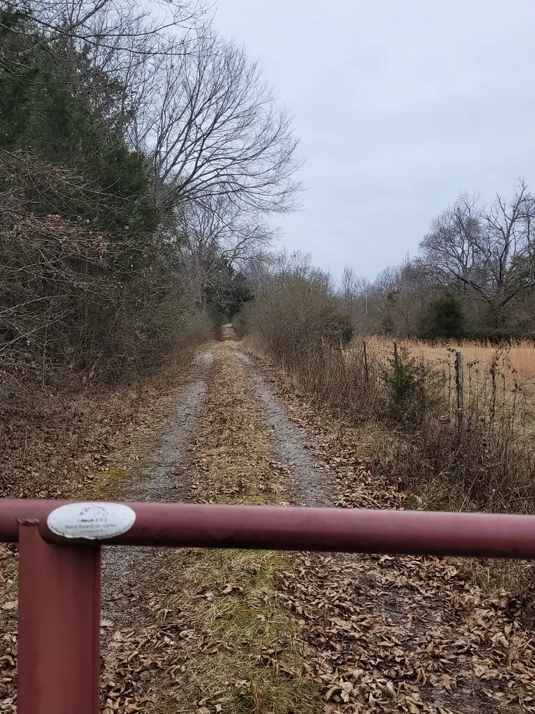 0 Mullins Chapel Road Shelbyville TN 37160