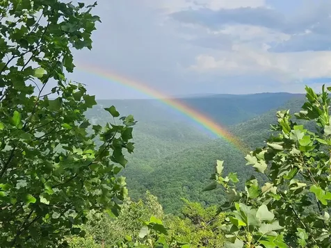 0 Grassy Ridge Road Lot 3 Beersheba Springs TN 37305