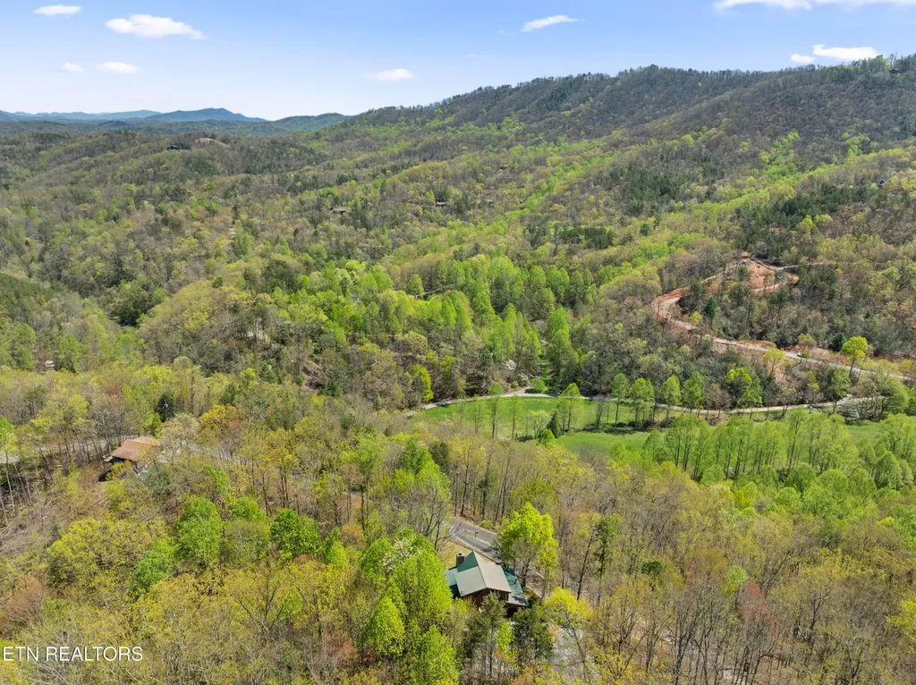 4388 Carolina Cove Way Pigeon Forge TN 37863