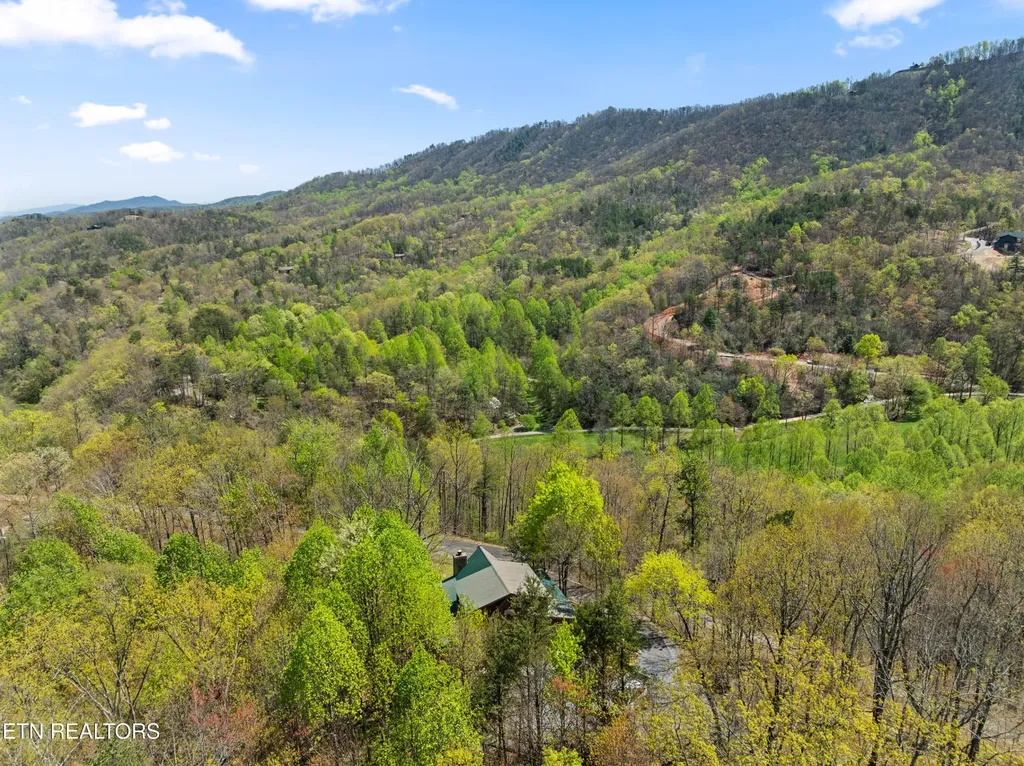 4388 Carolina Cove Way Pigeon Forge TN 37863