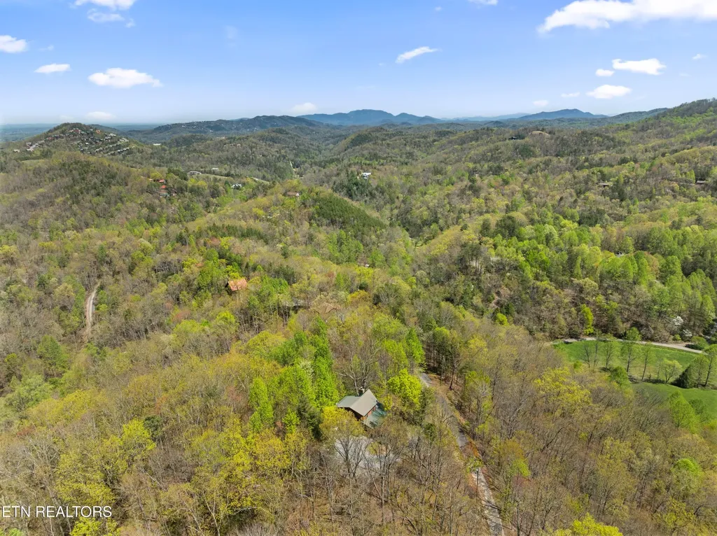 4388 Carolina Cove Way Pigeon Forge TN 37863
