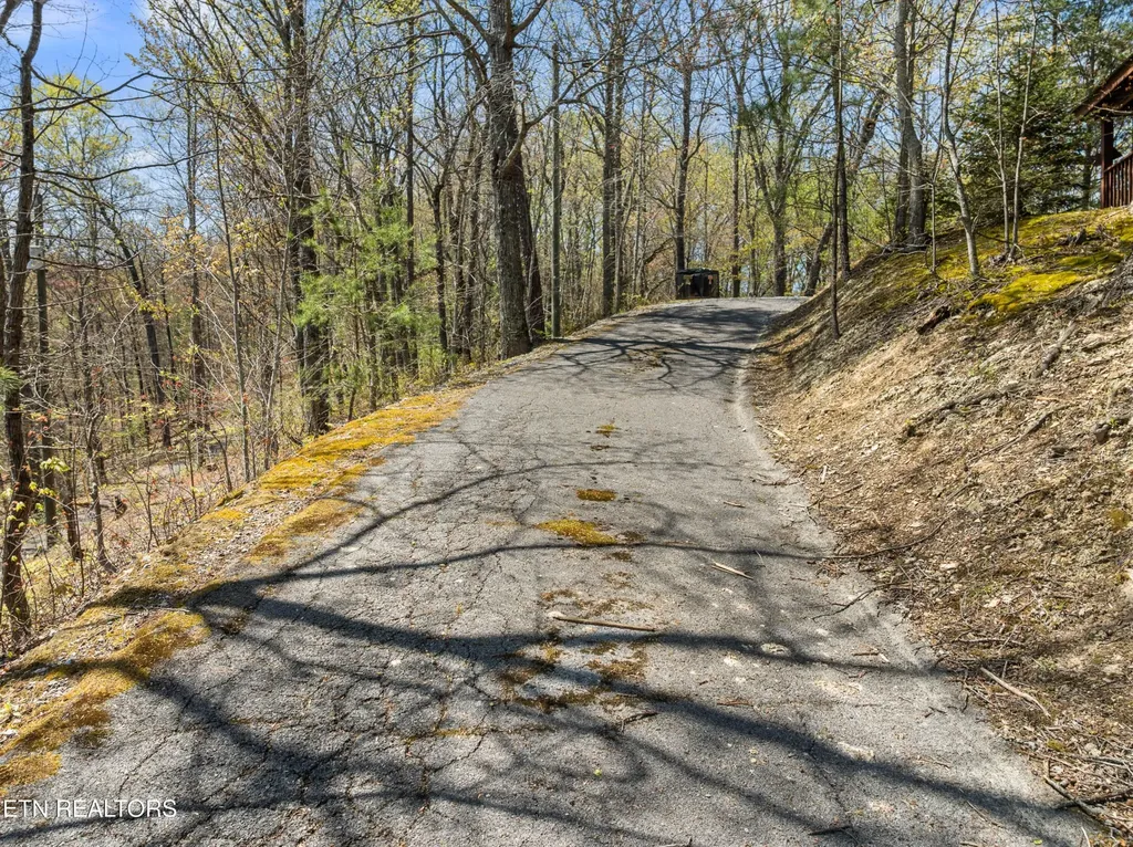 4388 Carolina Cove Way Pigeon Forge TN 37863