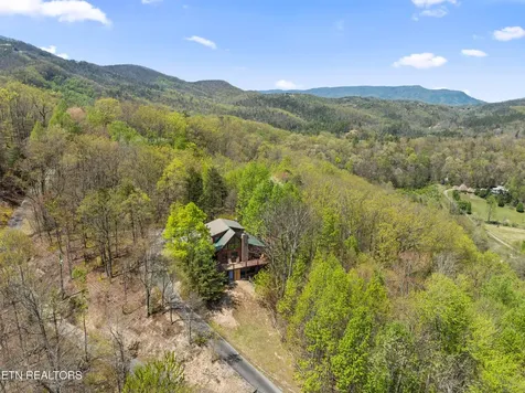 4388 Carolina Cove Way Pigeon Forge TN 37863