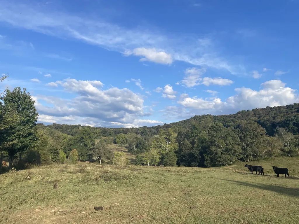 1380 Conrad Templeton Road Quebeck TN 38579