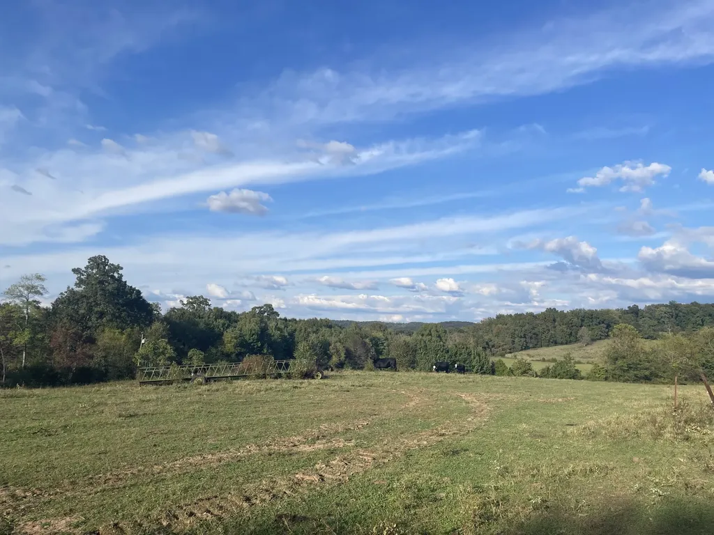1380 Conrad Templeton Road Quebeck TN 38579