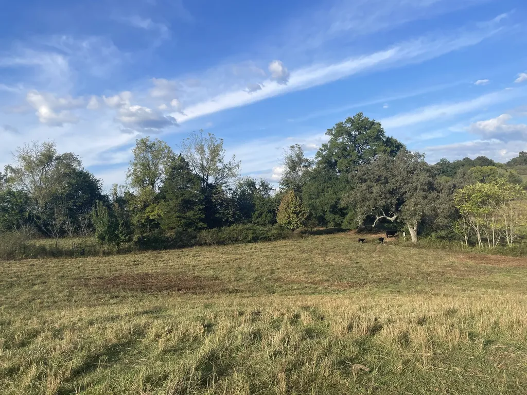 1380 Conrad Templeton Road Quebeck TN 38579