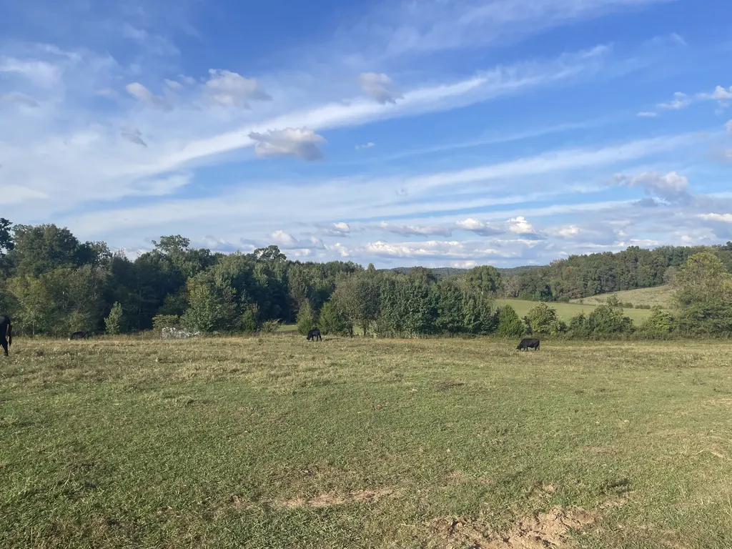 1380 Conrad Templeton Road Quebeck TN 38579