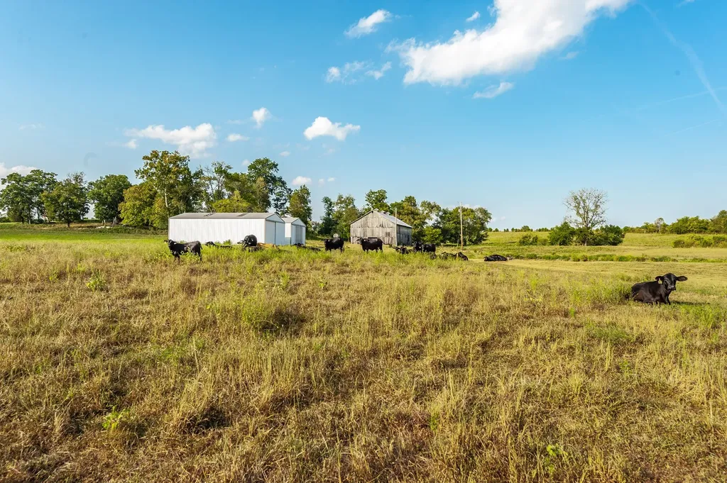 724 Deshea Creek Road Gallatin TN 37066