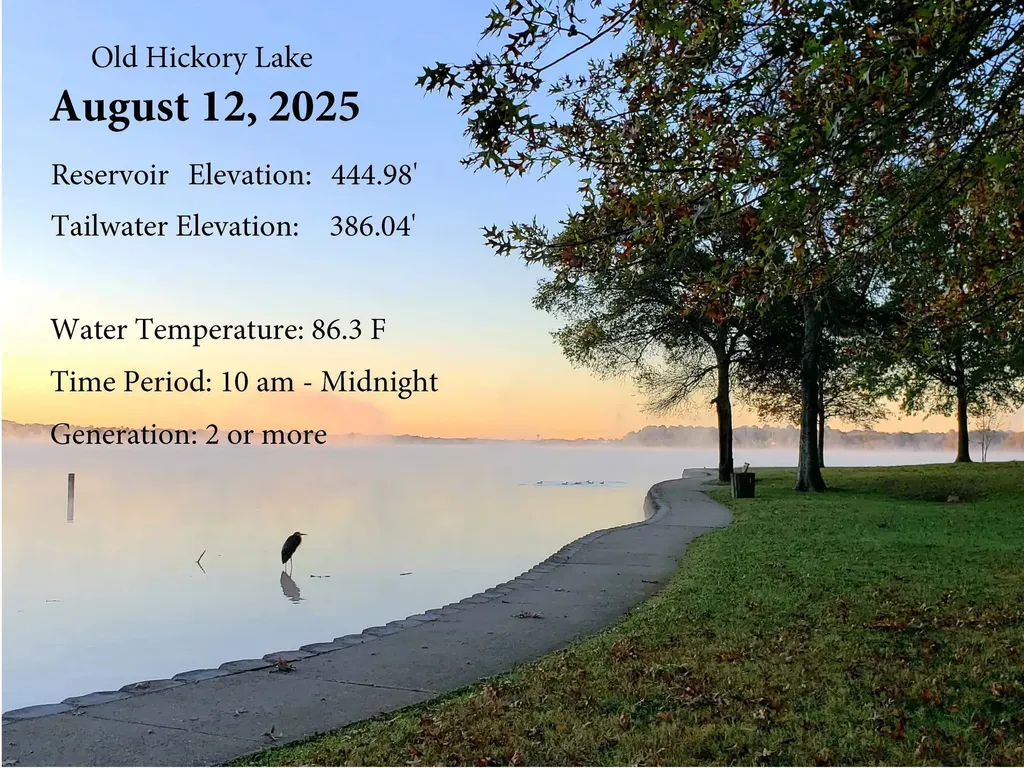 1041 Cedar Creek Village Road Mount Juliet TN 37122