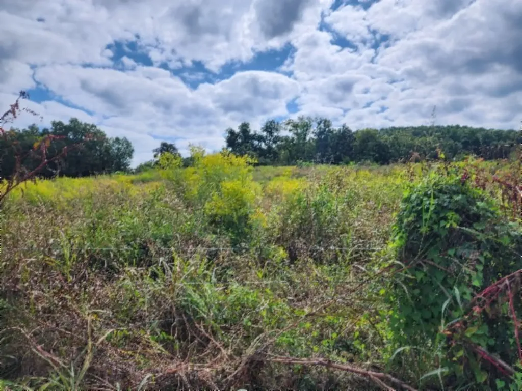 0 Anderson Road Byrdstown TN 38549