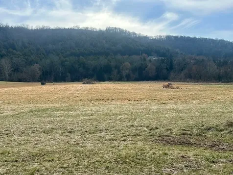 0 Highway 96 East Auburntown TN 37016