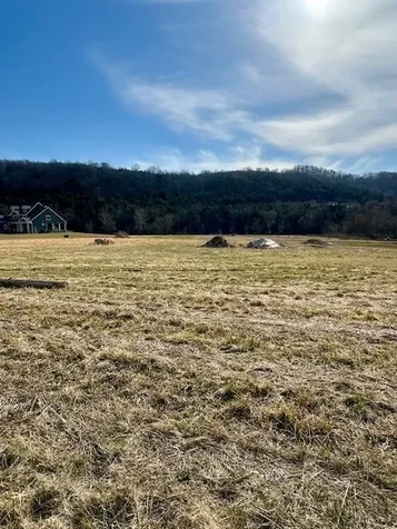 0 Highway 96 East Auburntown TN 37016
