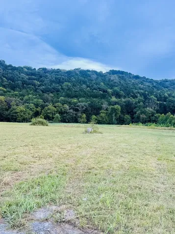 0 Highway 96 East Auburntown TN 37016