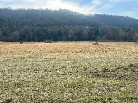 0 Highway 96 East Auburntown TN 37016