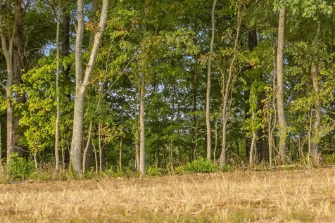 10 Sturgeon Creek Road Cedar Hill TN 37032