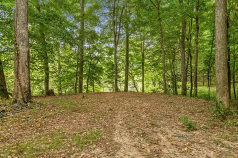 10 Sturgeon Creek Road Cedar Hill TN 37032