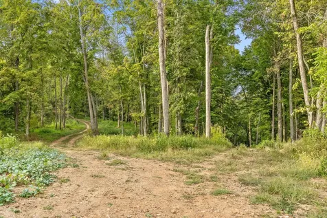 10 Sturgeon Creek Road Cedar Hill TN 37032