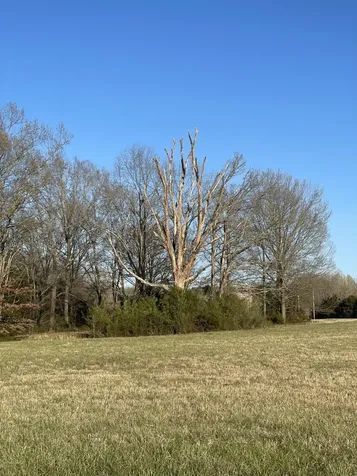 0 Northern Field, E Tullahoma TN 37388