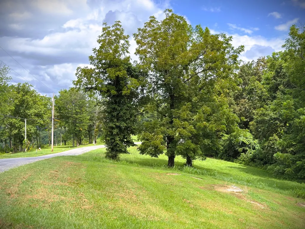 0 Swan Ridge Road Hilham TN 38568