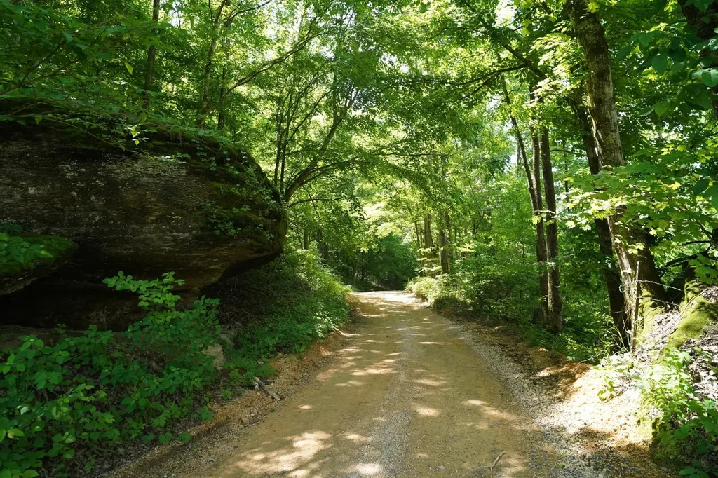 450 Lowe Branch Road Centerville TN 37033
