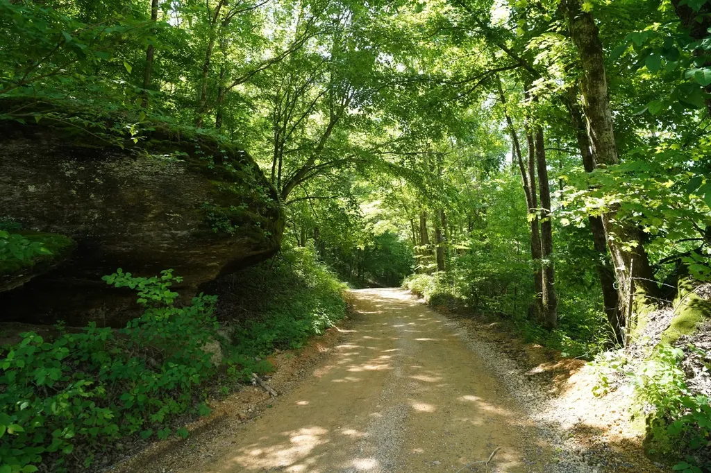450 Lowe Branch Road Centerville TN 37033