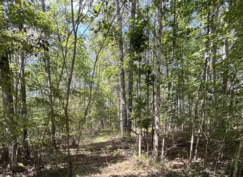201 Blackberry Farm Road, W Monteagle TN 37356