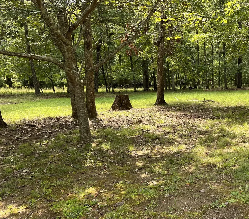 214 Blackberry Farm Road, W Monteagle TN 37356