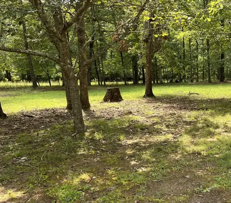 214 Blackberry Farm Road, W Monteagle TN 37356