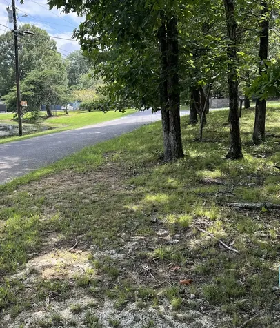 227 Blackberry Farm Road Monteagle TN 37356
