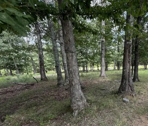 227 Blackberry Farm Road Monteagle TN 37356
