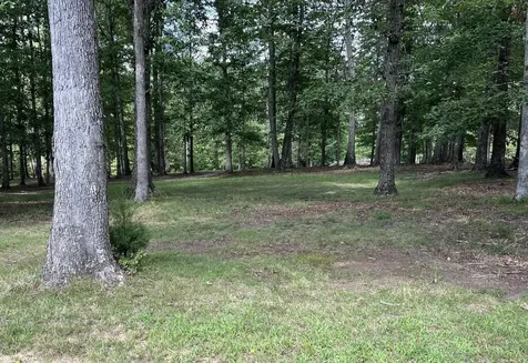 227 Blackberry Farm Road Monteagle TN 37356